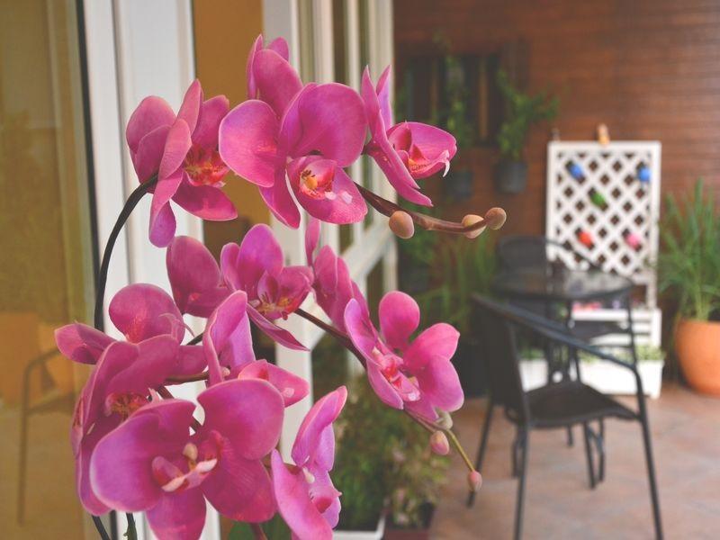 Seedling House Pattaya Εξωτερικό φωτογραφία