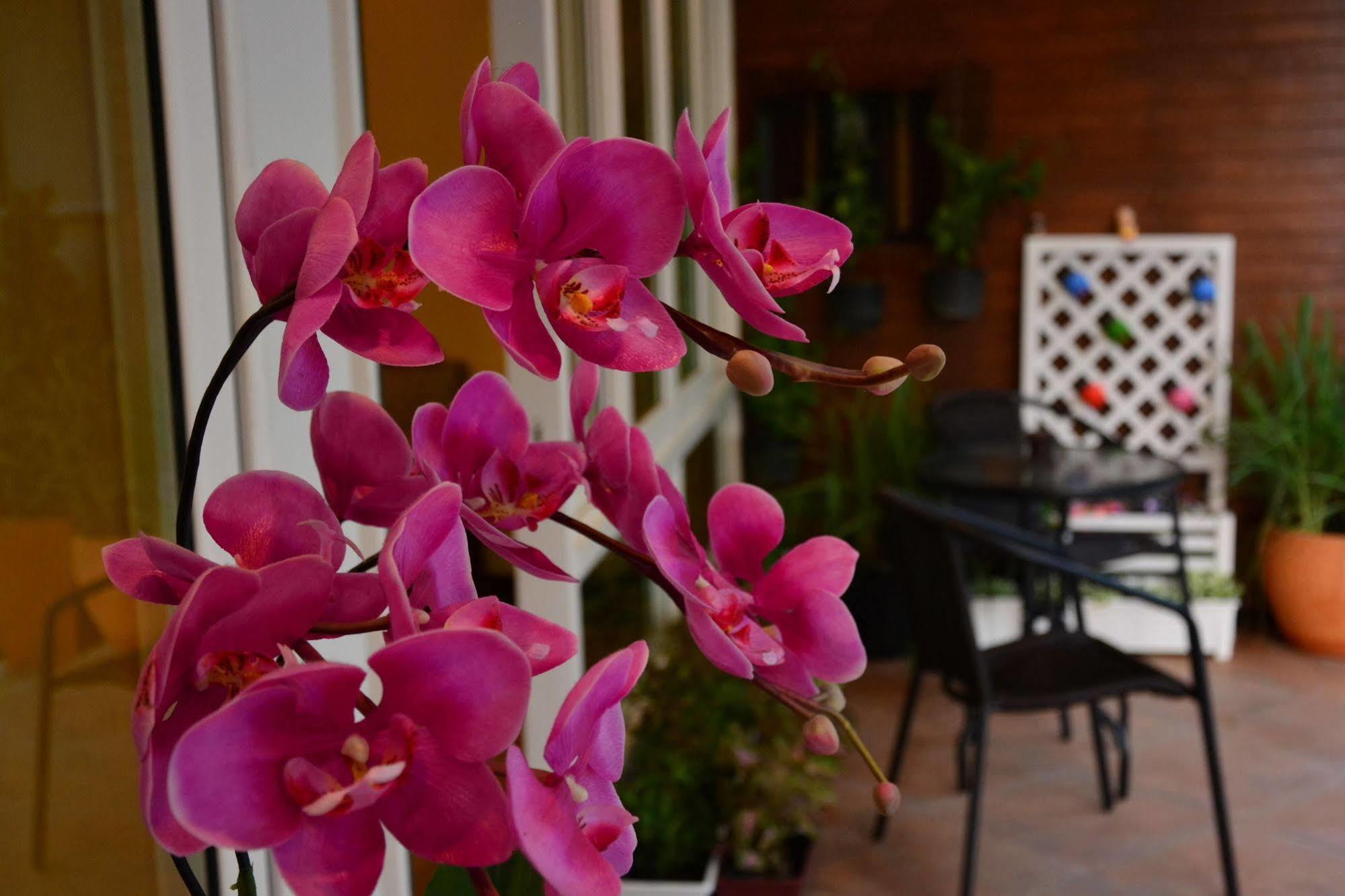 Seedling House Pattaya Εξωτερικό φωτογραφία
